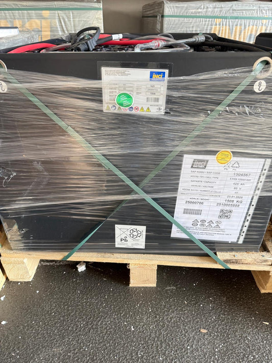 80V 625AH 5PZS625 Batterie inkl. Aquamatik und REMA-Stecker
